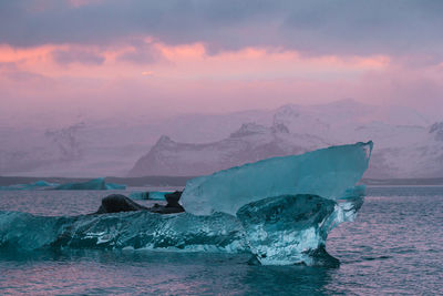 Transparent ice pieces in ocean landscape photo