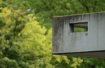 Close-up of architectural detail against trees