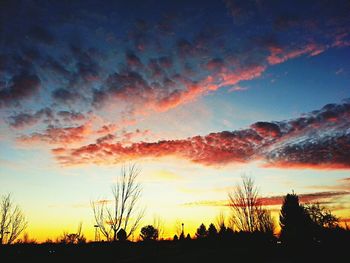 Silhouette of trees at sunset