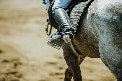 Low section of person riding horse