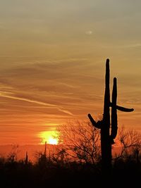 Silhouette cactus plant against sky during sunset