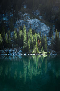 Scenic view of lake by trees on mountain