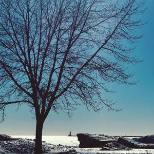 Silhouette bare tree by sea against sky