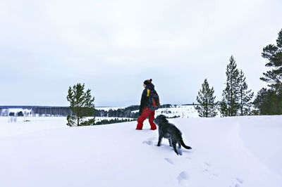 Dog on snow covered landscape