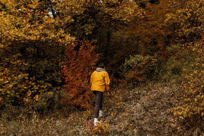 A young man in a yellow jacket admires the autumn mountain and forest landscape