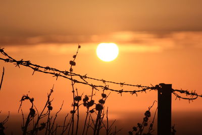 Barbed wire fence against sky during sunset