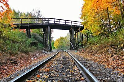 Railroad track in forest