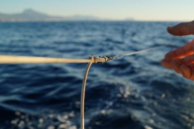 Close-up of hand holding crab over sea