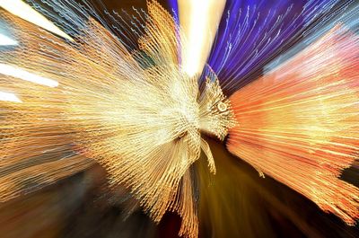 Low angle view of multi colored wall