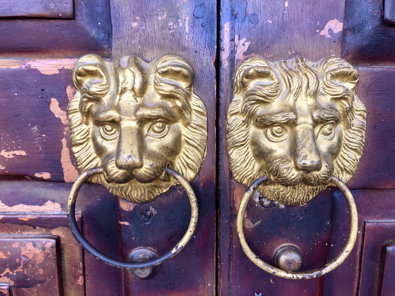 CLOSE-UP OF CARVING ON METAL DOOR KNOCKER