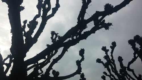 Low angle view of bare tree against cloudy sky