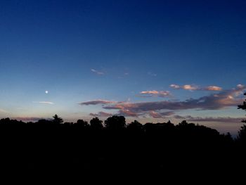 Silhouette trees against sky during sunset