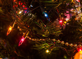 Illuminated christmas tree at night