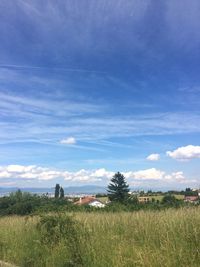 Scenic view of field against blue sky