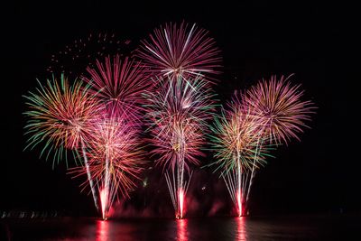 Low angle view of firework display at night