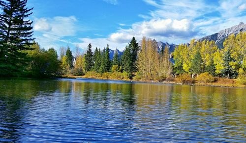 Scenic view of lake by trees against sky