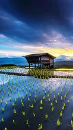 Scenic view stilt house over agriculture field against cloudy sky