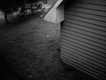 Footpath by building on field