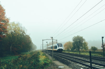 Train moving on tracks by trees during foggy weather