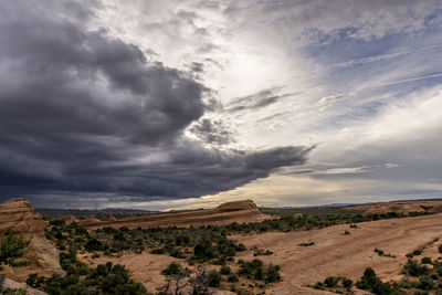 Scenic view of desert against sky