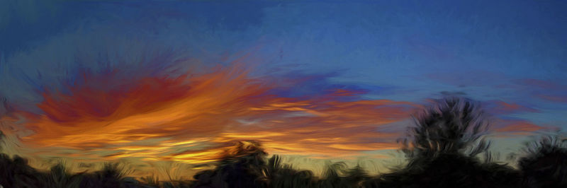 Low angle view of silhouette plants against sky during sunset