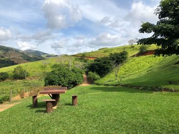 Empty bench on field by trees against sky