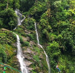 Scenic view of waterfall in forest