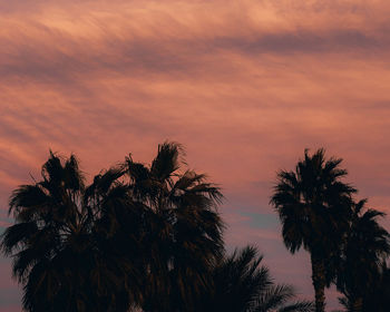 Low angle view of silhouette palm trees against romantic sky