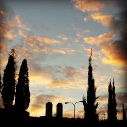 Silhouette trees against sky during sunset