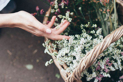 Midsection of woman holding bouquet of flowering plant