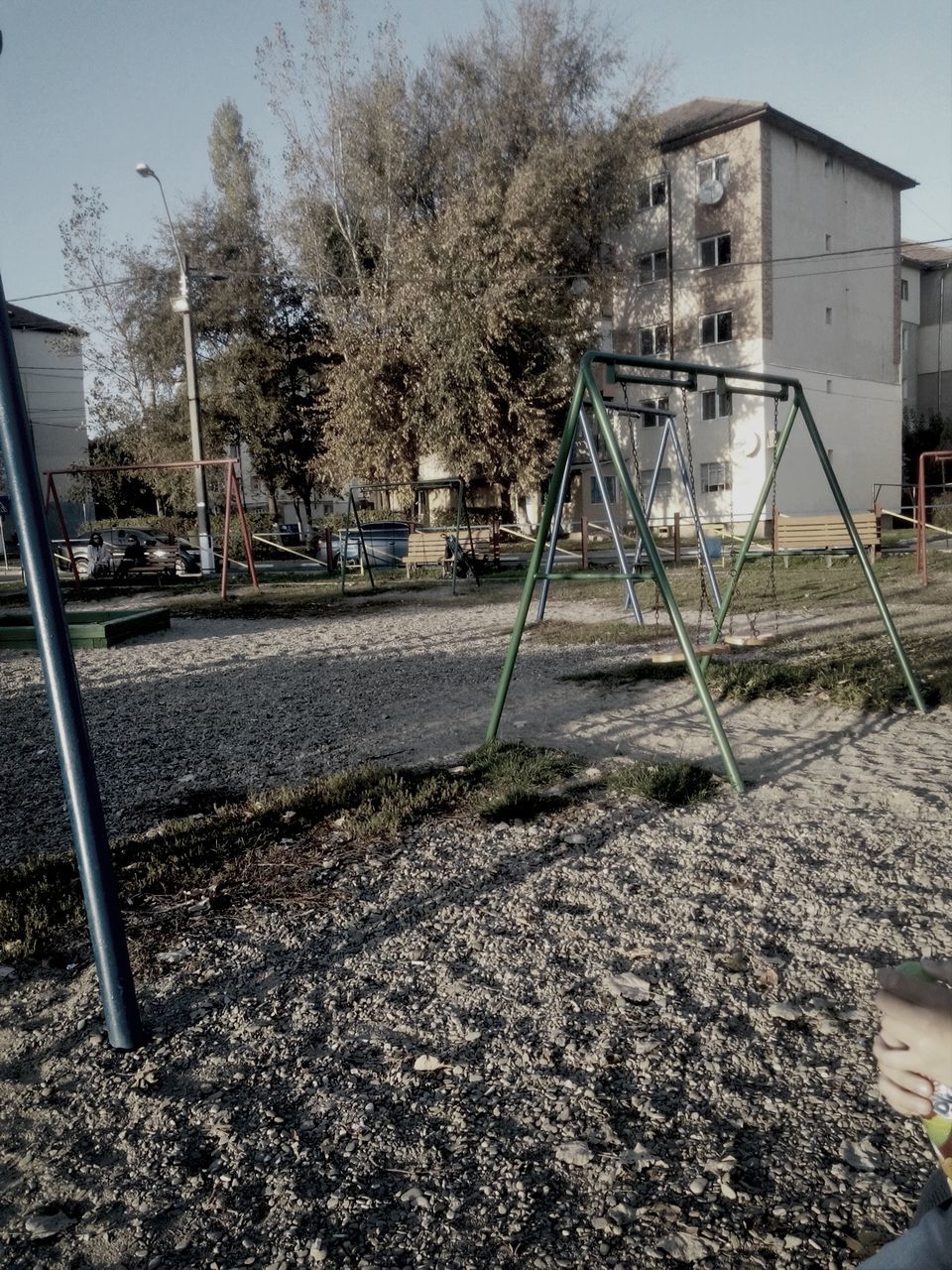 built structure, tree, building exterior, architecture, transportation, mode of transport, sunlight, clear sky, car, city, outdoors, day, growth, land vehicle, street light, no people, plant, street, absence, nature