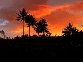 Silhouette palm trees on field against sky at sunset