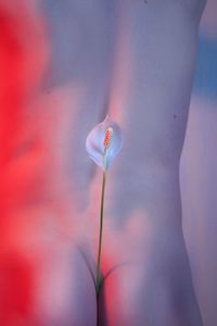 Low section of woman holding flower