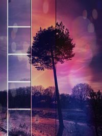 Digital composite image of silhouette trees against sky during sunset