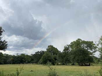 Scenic view of trees on field against rainbow in sky