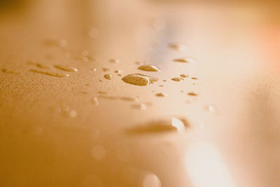 Full frame shot of water drops on glass