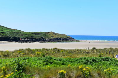 Scenic view of sea against clear blue sky