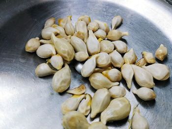 High angle view of shells on table