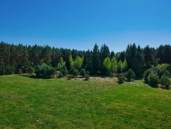 Scenic view of trees on landscape against clear sky