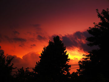 Low angle view of silhouette trees against dramatic sky