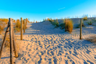 Scenic view of beach against sky during winter