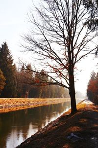 Reflection of trees in water against sky