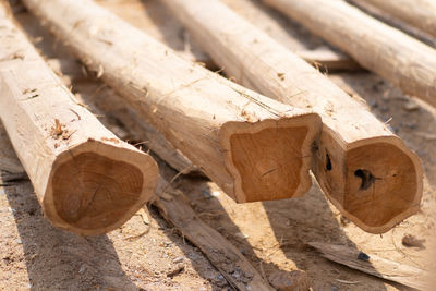 Close-up of logs in forest