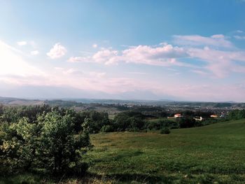 Scenic view of field against sky