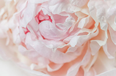 Close-up of crumpled paper
