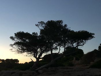 Silhouette trees on field against clear sky