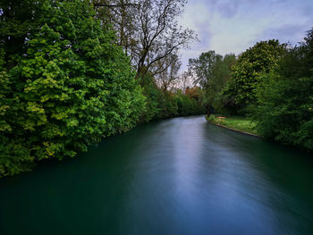 River amidst trees in forest against sky