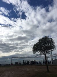 Trees on beach against sky