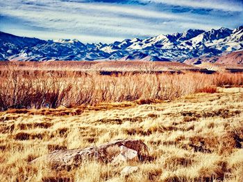 Scenic view of field and mountains against sky