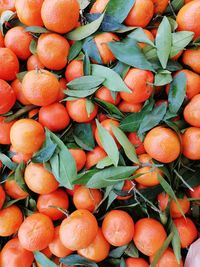 Full frame shot of oranges